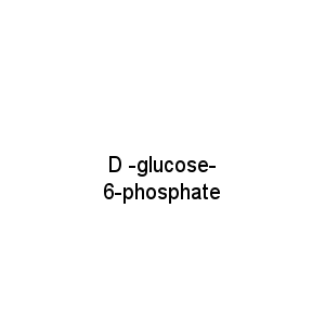 D -glucose- 6-phosphate